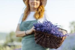 Valter, l'imprenditore che colora il Delta di viola