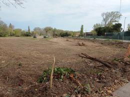 La Lipu scrive al sindaco Armelao: "Salviamo via Boschetto"