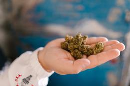 A scuola con la marijuana: beccato