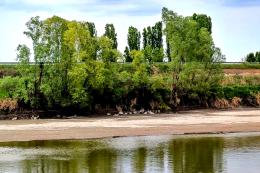 Siccità: "Adige dimezzato, mai e soia a rischio"