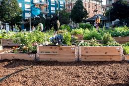 Un orto urbano per l'Innovation lab 