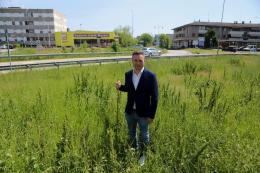 "Inaccettabile lasciare morire gli alberi appena piantati"