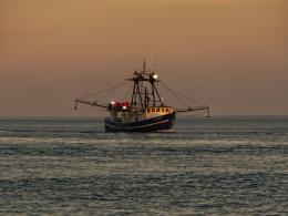 Caro gasolio e pesca in crisi: servono soluzioni