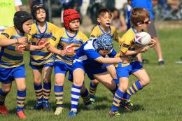 Rugby, altra domenica di grandi soddisfazioni per il Frassinelle 