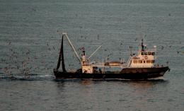 Pesca come patrimonio dell'Unesco