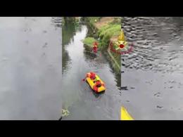 I vigili del fuoco salvano un airone