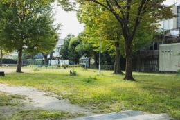 Verso una città più sostenibile 