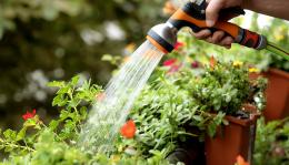 Ecco come risparmiare sull'acqua