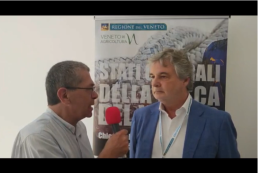 Il Distretto ittico: "Siamo già proiettati a sistemi e trattamenti sostenibili"