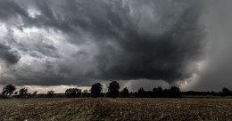 Dopo il caldo, il downburst, danni agli orti