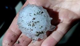 Eccezionale grandinata, danni ai campi e alberi a terra