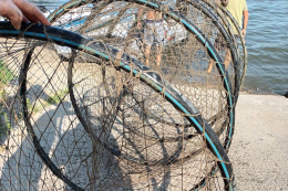 Scovate le trappole dei pescatori abusivi