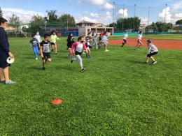 Il "Summer Camp" è già un successo
