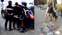 Caccia al pusher col cane antidroga 