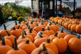 La Festa della Zucca è qui 