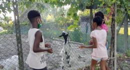 Bimbi in vacanza col progetto "Cedro"