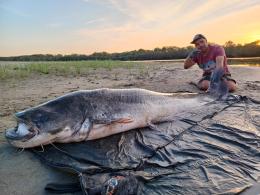 E' una cattura da record: un colosso da 2,65 metri