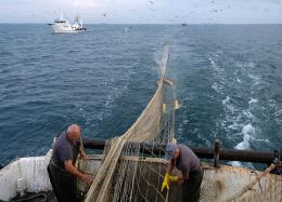 Pesca, priorit&agrave; in salute e sicurezza