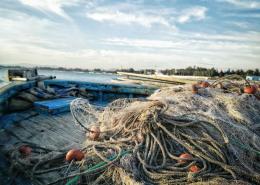Mare liberato da 100mila chili di reti
