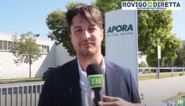 "Polesine, qui le basi per disegnare lo sviluppo"
