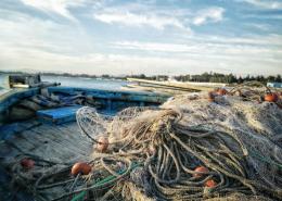 Alleanza Cooperative Pesca chiede un ministero del Mare