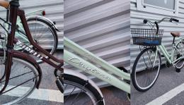 Presi e denunciati due ladri di biciclette