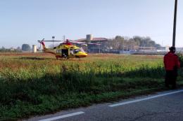 Colpito dal toro, grave un bracciante