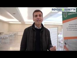 Come nasce un bullo, parola di Andrea Franzoso 