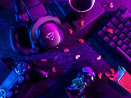 Gamer professionisti: quando il gioco diventa un lavoro