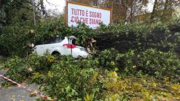 Disastro in stazione, auto distrutte dagli alberi caduti