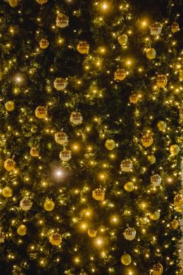 L’albero pronto a svettare sul listòn