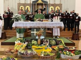 Il Comune si schiera unito contro il cibo sintetico