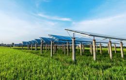 Il via libera al parco agrovoltaico in consiglio comunale