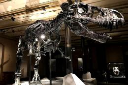 A Padova arrivano i dinosauri