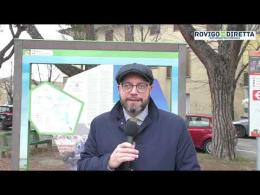 Via i pini dalla piazza: presentato il progetto