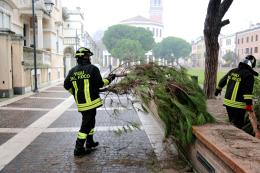 Ci risiamo: rami pericolanti in pieno centro