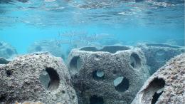 Le ceneri nelle "reef ball", Chioggia ci prova