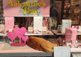 Gatto Rossini, il più vip in città 