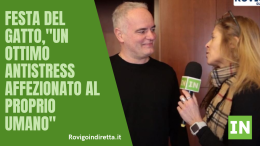 Giornata del gatto, ecco come comprendere i felini 