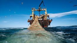 Finito il tempo del fermo pesca