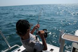 Assunzioni nel mondo della pesca 