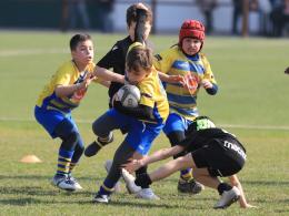 Fine settimana impegnativo per i piccoli gialloblù 