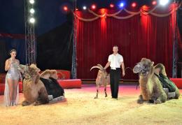 A Grignano torna il circo Busnelli