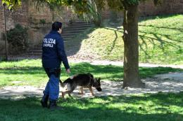 Scatta il controllo antidroga ai giardini delle Torri