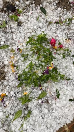 Nubifragio in Basso Polesine, arriva la grandine