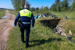 Polizia a caccia di vandali dei rifiuti