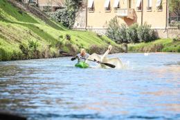 I cigni attaccano i canoisti sul Bacchiglione