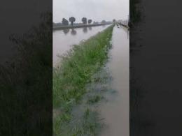 Passeggiata nel fango, tra i campi allagati
