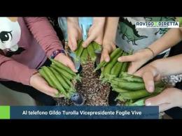 Alunni dal pollice verde 