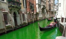 Il Canal Grande diventa verde fluorescente